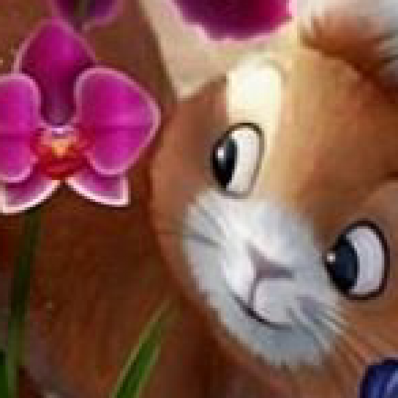 Profile picture of ashan sandaruwan