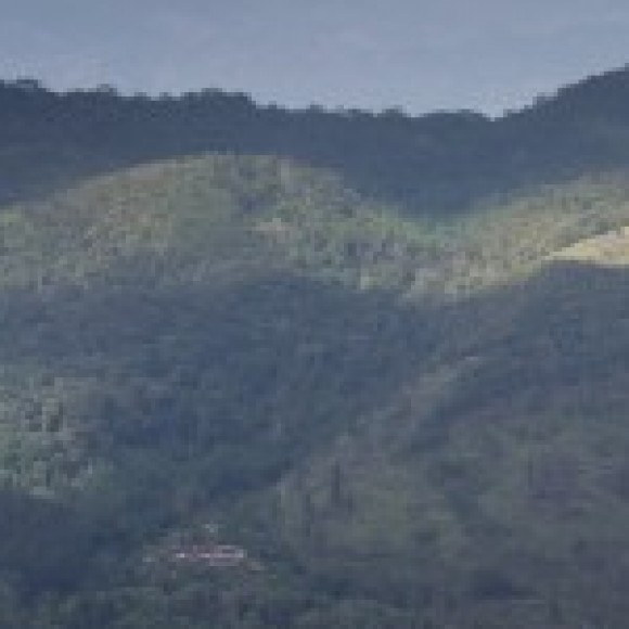 Profile picture of SLGamer