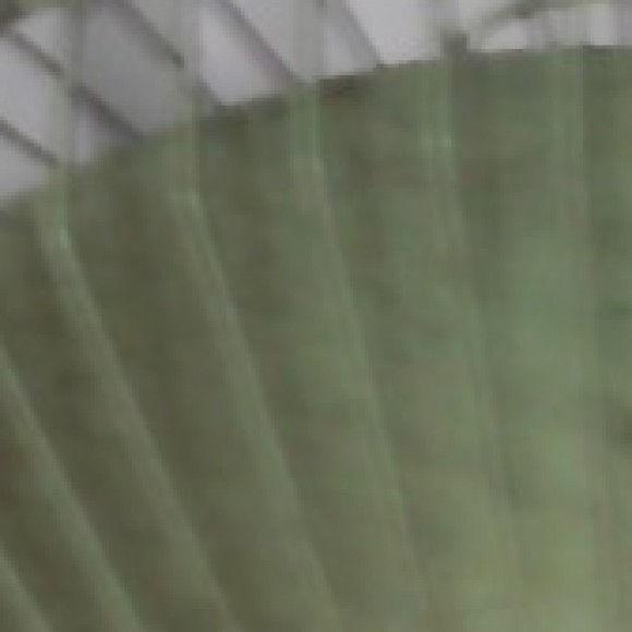 Profile photo of pahan