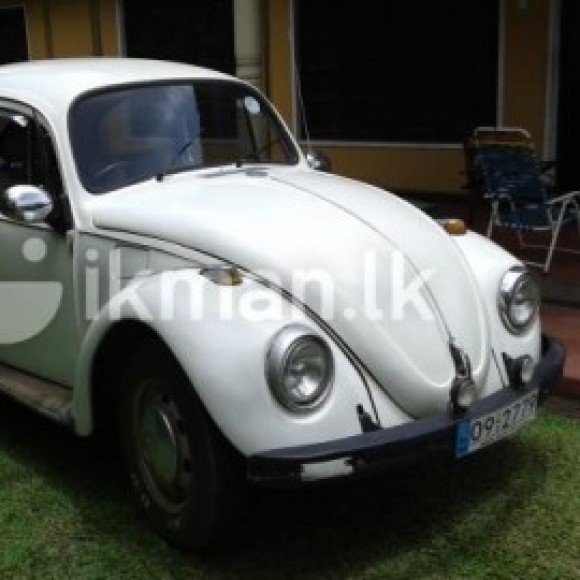 Profile picture of Kumara SL