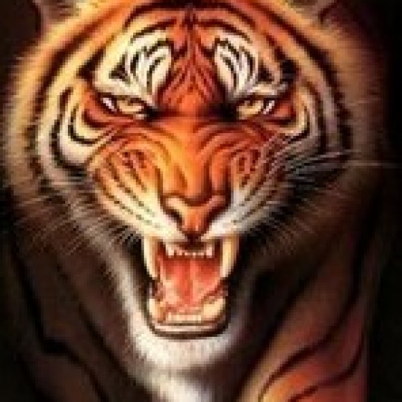 Profile photo of Lahiru
