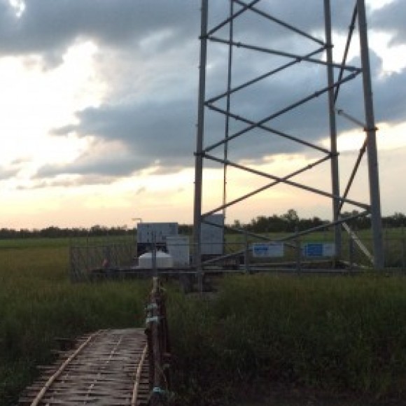 Profile photo of Kasun chanuka