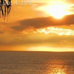 Profile photo of tomsch35@yahoo.de