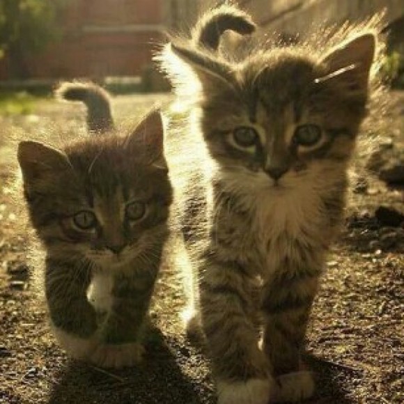 Profile photo of Don