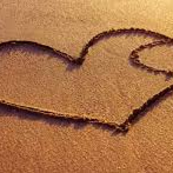 Profile picture of Slvidar