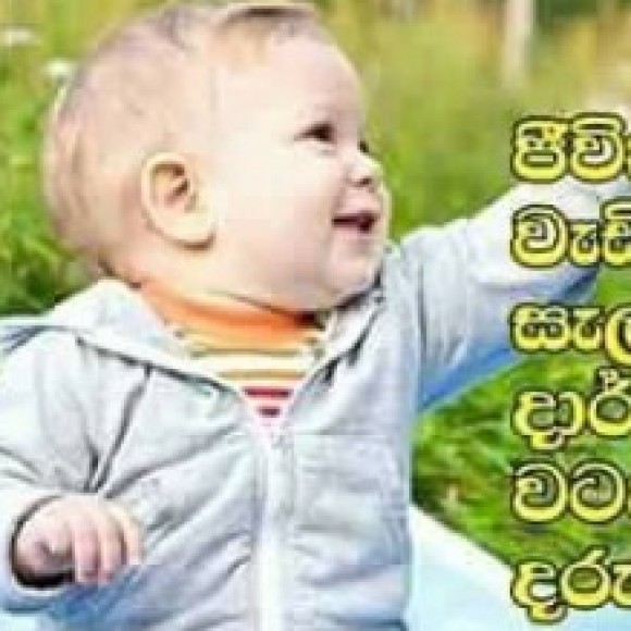 Profile picture of navaneeth chathuranga