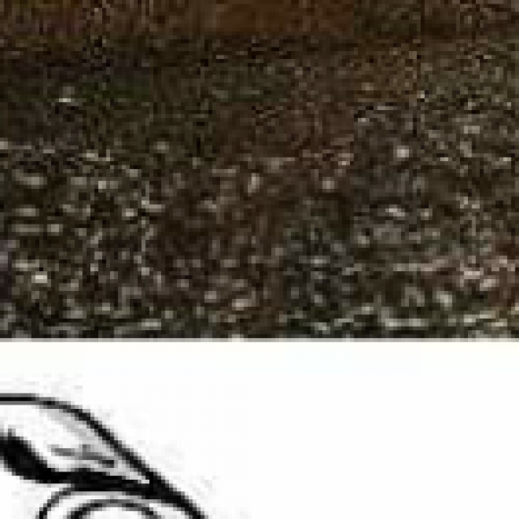 Profile photo of Nimesh