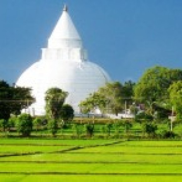 Profile photo of hasitha perera