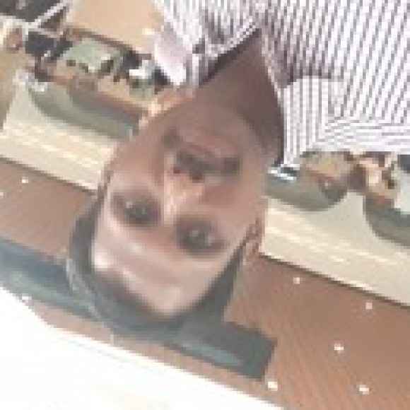 Profile picture of asanka