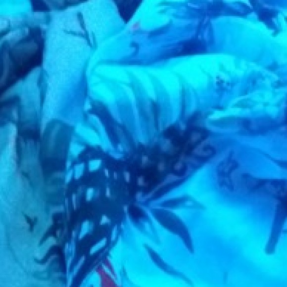 Profile photo of Jayawardana