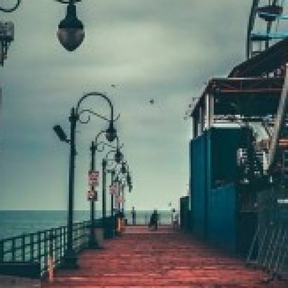 Profile photo of Damith Asanka