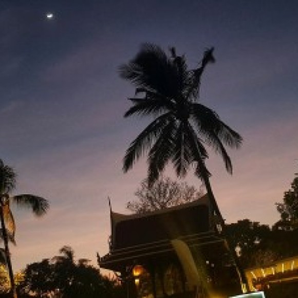 Profile photo of Niroj