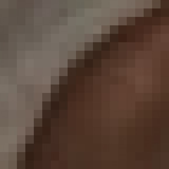 Profile photo of hashan