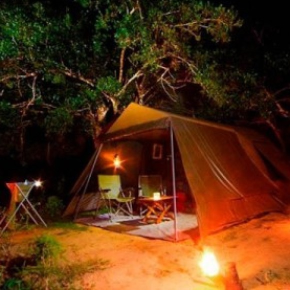 Profile picture of chaminda upul