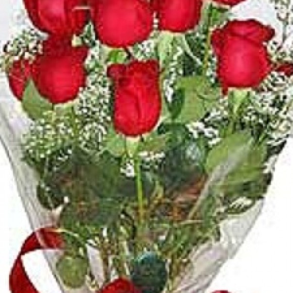 Profile photo of linda