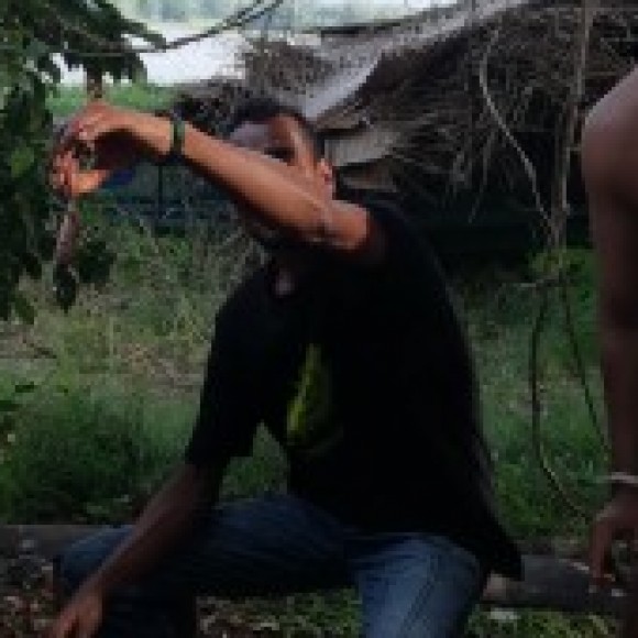 Profile picture of Nanayakkara