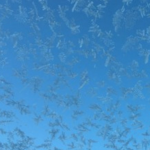 Profile picture of Dushantha