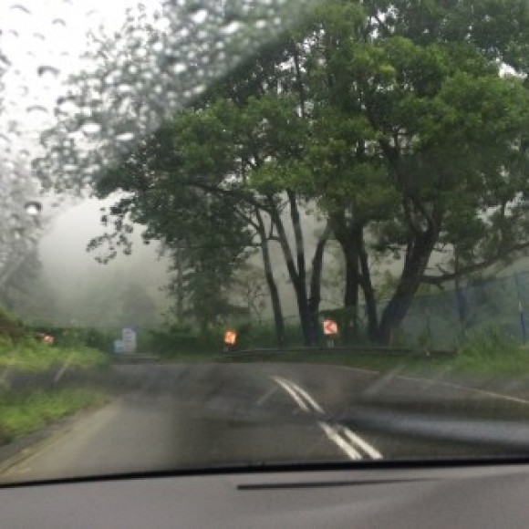 Profile picture of Jeff Perera