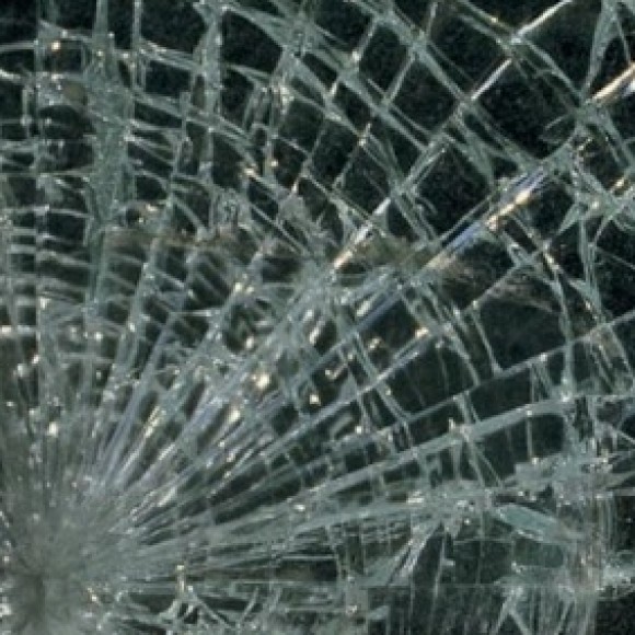 Profile photo of Steve silva