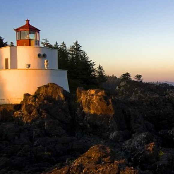 Profile photo of Gayan Nupahewa