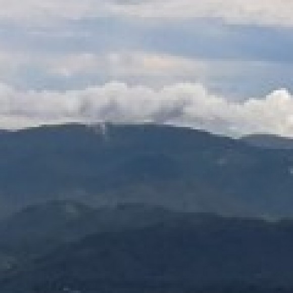 Profile photo of Pasan