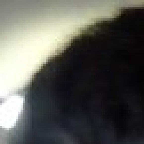 Profile photo of bingo