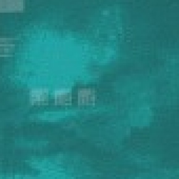 Profile picture of sanka fernando