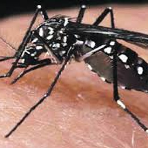 Profile photo of urannam