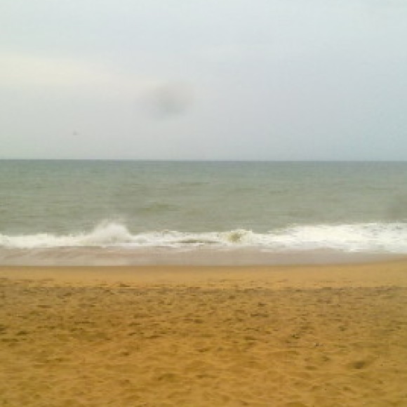 Profile picture of rohana