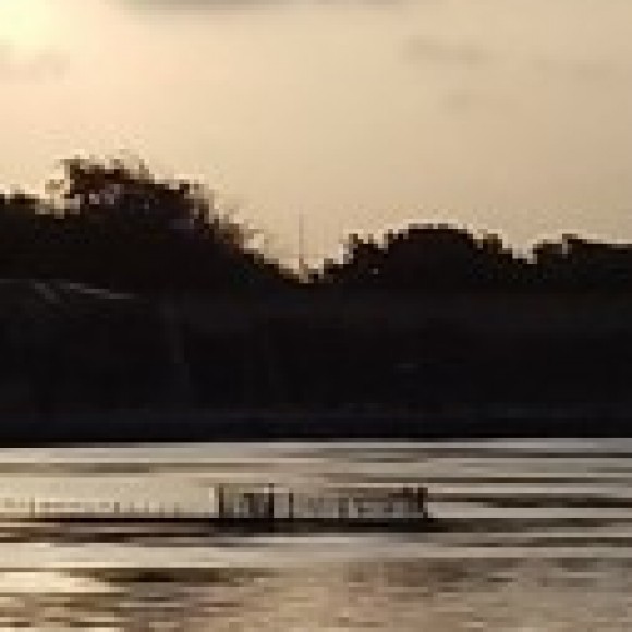 Profile picture of Surendran