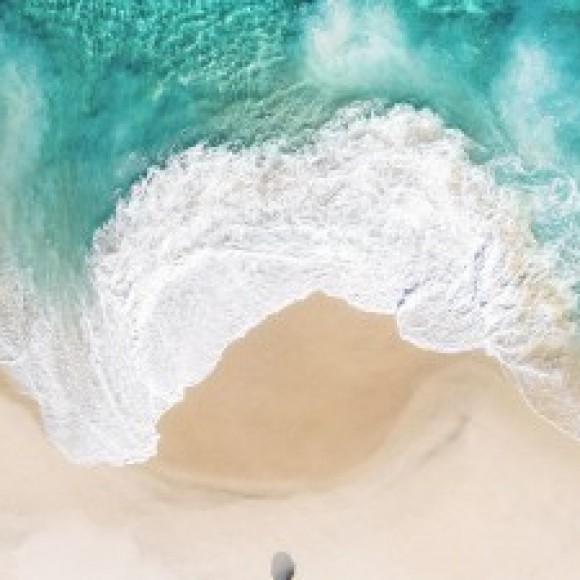 Profile picture of praveen