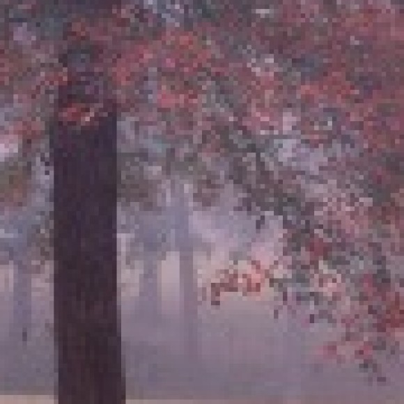 Profile picture of coolcool