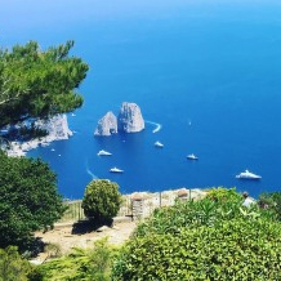 Profile picture of Ishani