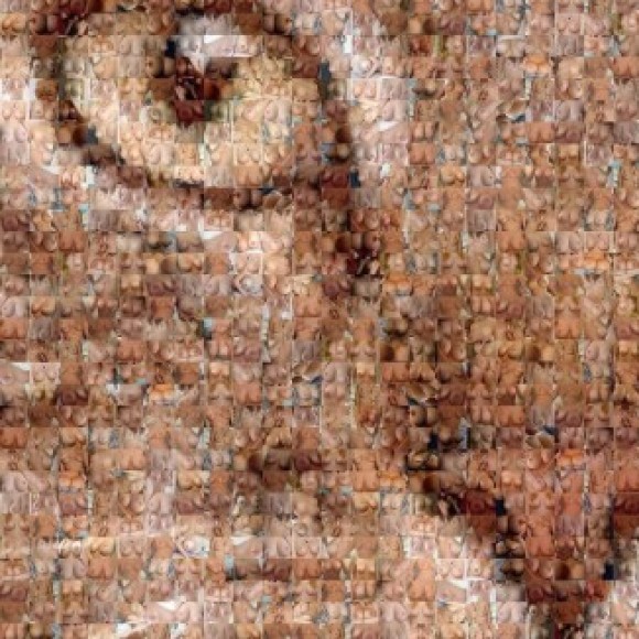 Profile picture of Heshan dinuka