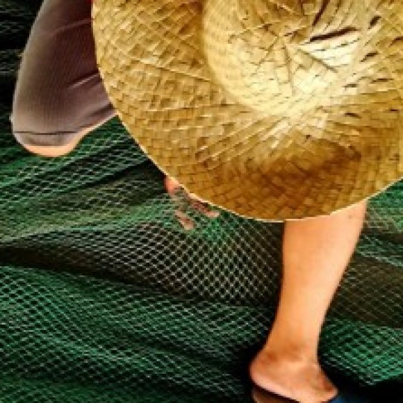 Profile picture of Madusha