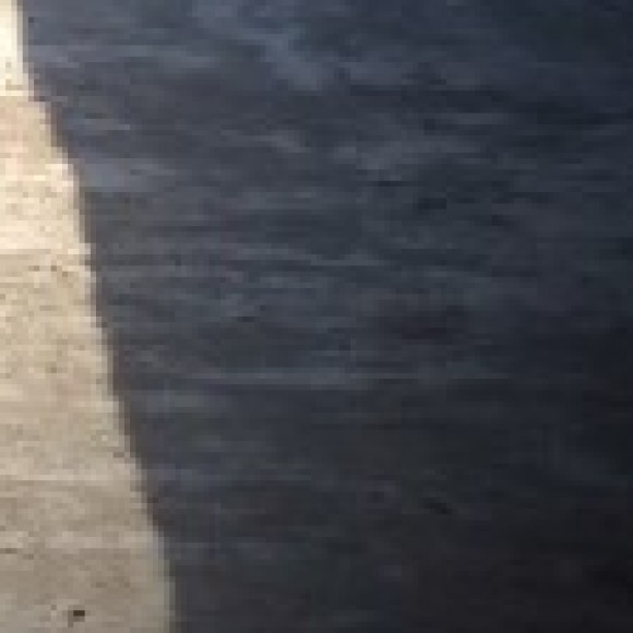 Profile photo of Romesh