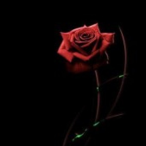 Profile photo of senadipathi-amila