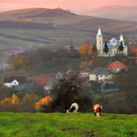 Profile photo of hasitha