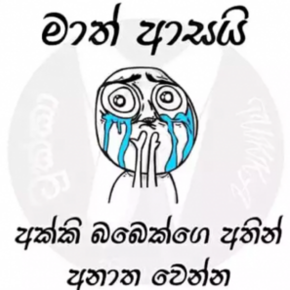 Profile picture of Nimal priyankara