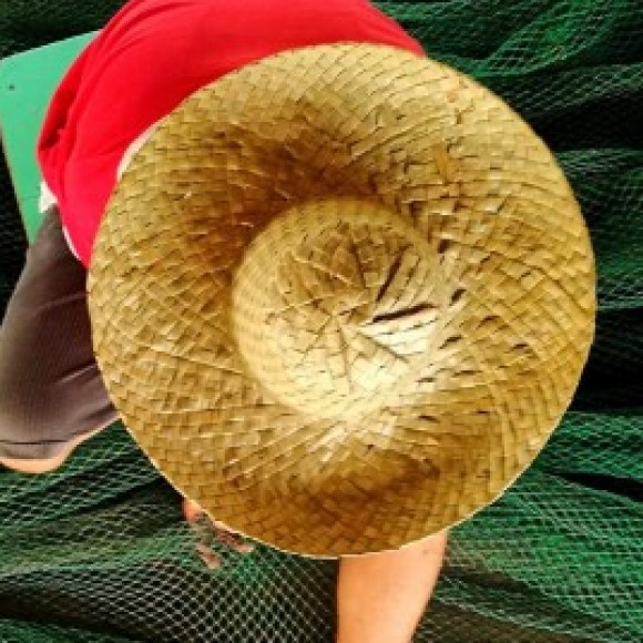 Profile photo of Hasitha