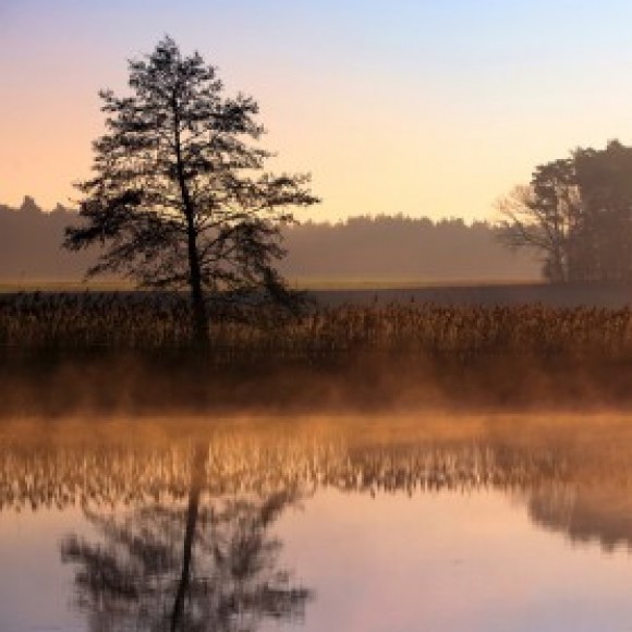 Profile picture of kaveesh