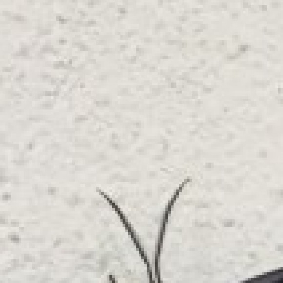 Profile picture of Nayomi1234