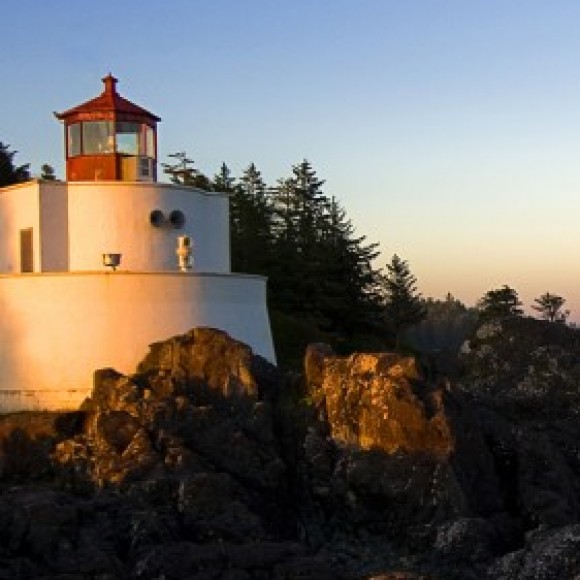 Profile photo of Roshan