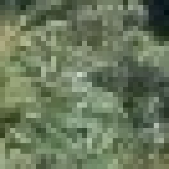 Profile picture of Sankalpa B