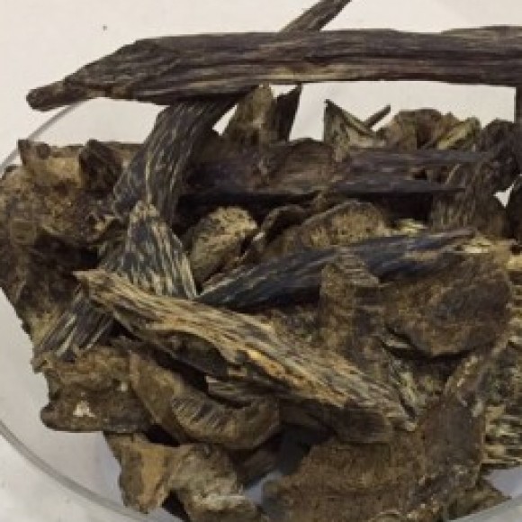 Profile picture of Thushara