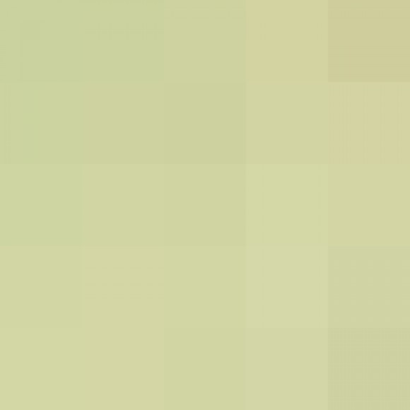 Profile picture of Saranga Fernando