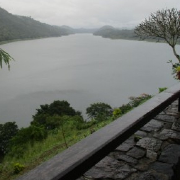 Profile picture of Chamarachandana