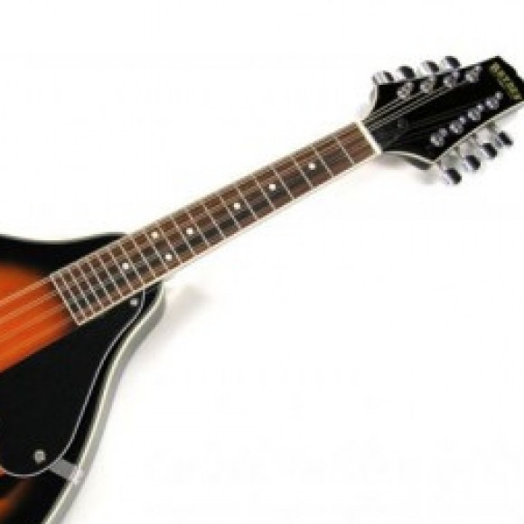 Profile picture of Dhanu