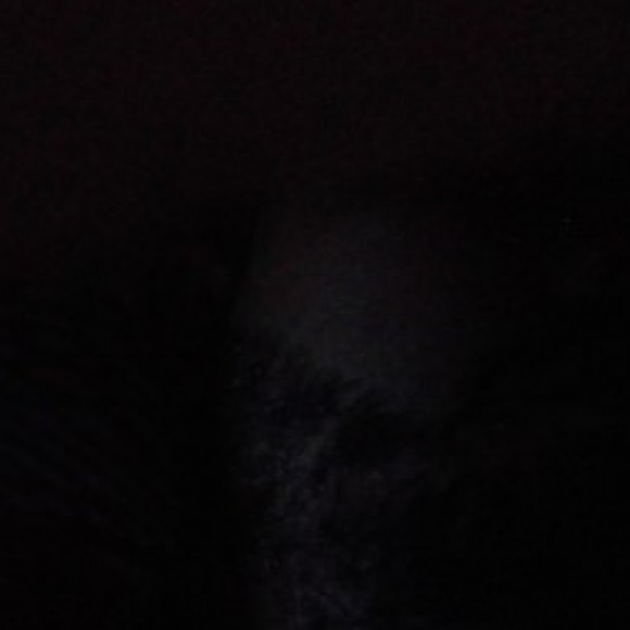 Profile photo of Sumith