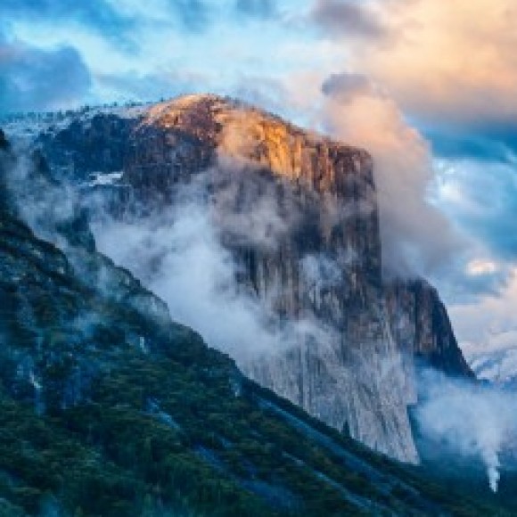 Profile photo of Don316